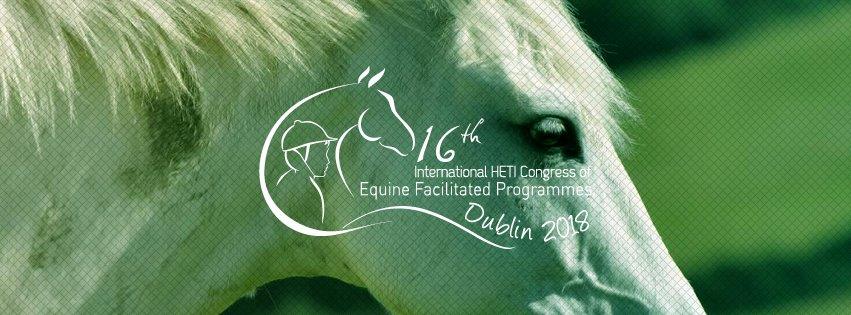 HETI-All_in_one_social-facebookbanner.jpg