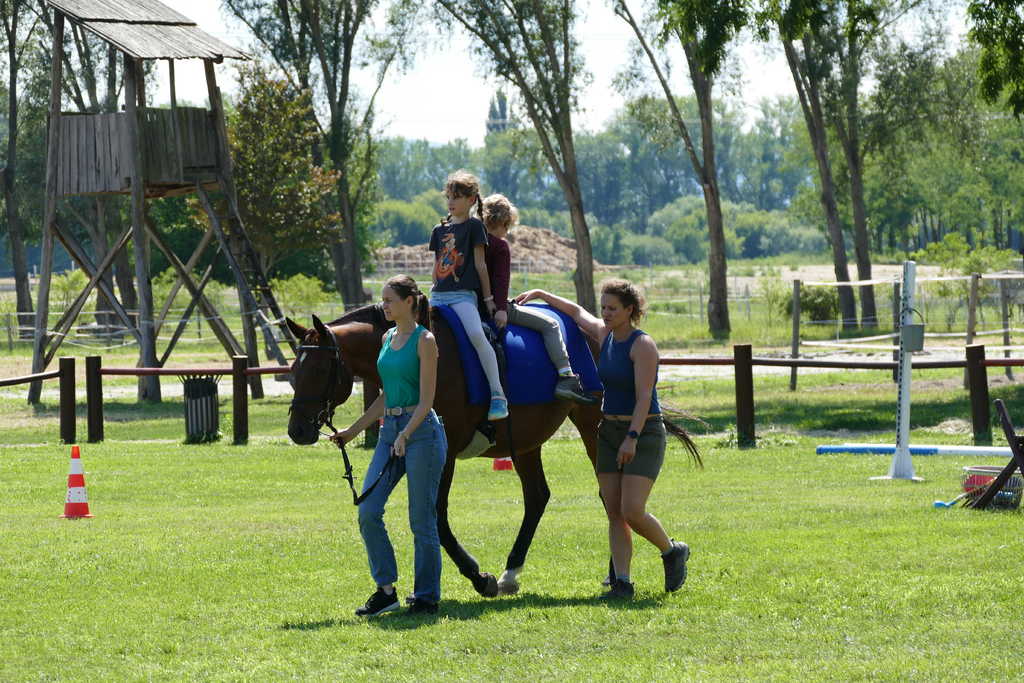 Gyí paci, paripa tábor