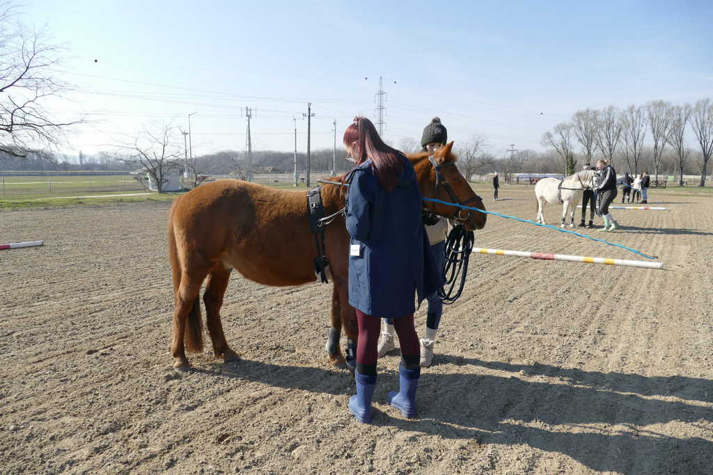 Futószáras hétvége