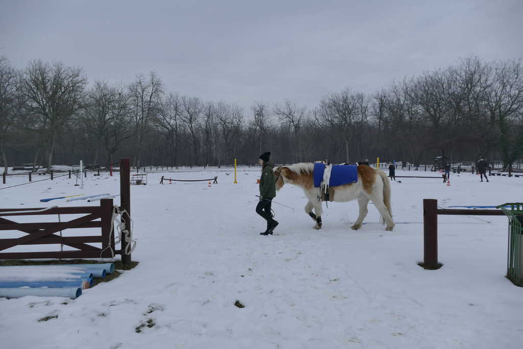 Januári képzési hétvége